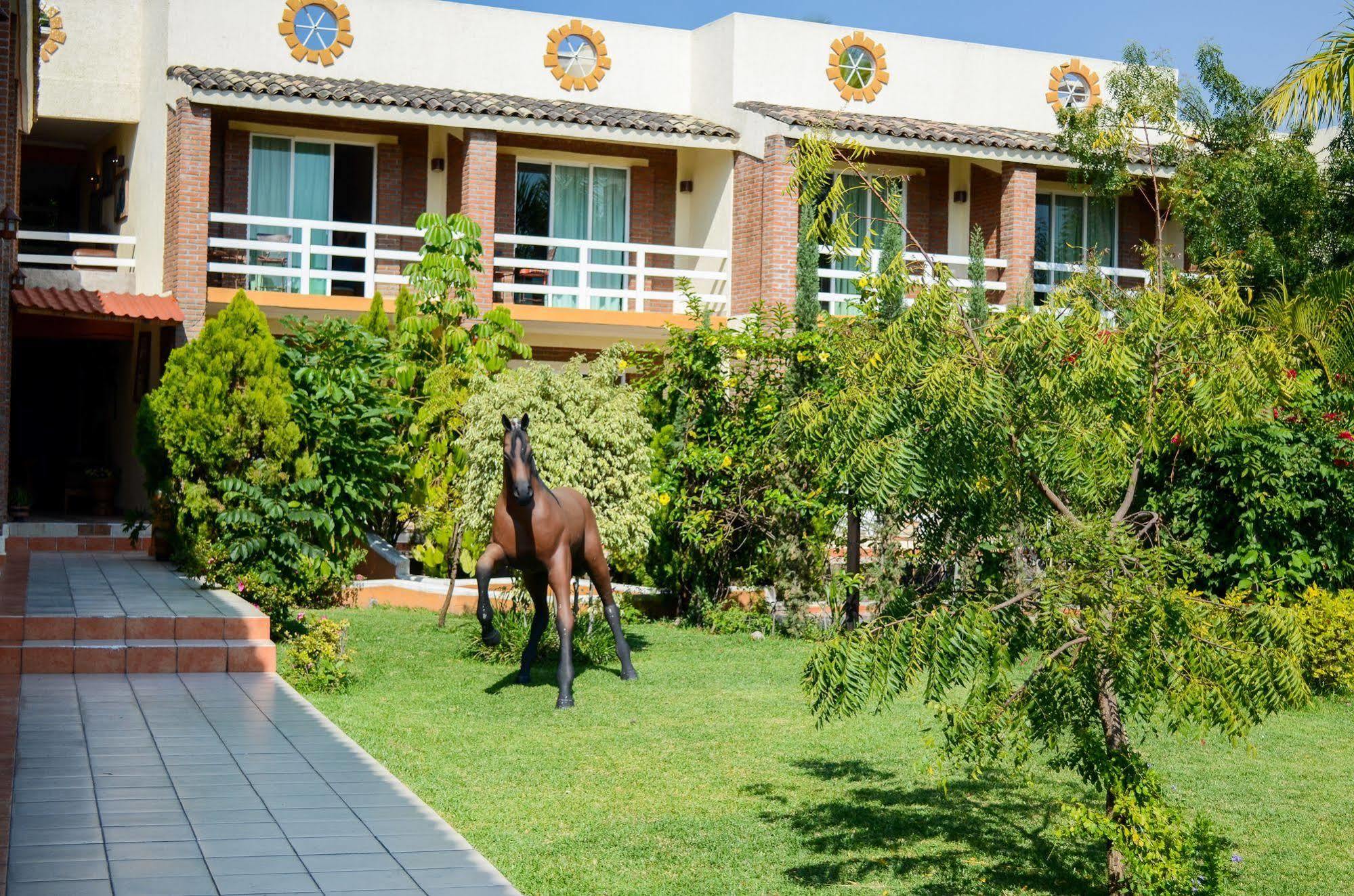 Quinta La Estampida Hotel Xochitepec Buitenkant foto